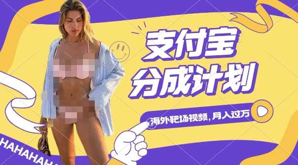 利用海外靶场射击视频,挣支付宝分成收益,轻松月入过W【揭秘】-致富学堂