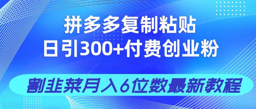 (14232期)拼多多复制粘贴日引300+付费创业粉,割韭菜月入6位数最新教程!-致富学堂