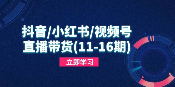 (14611期)抖音/小红书/视频号/直播带货(11-16期),快速掌握平台规则,打造爆款内容-致富学堂