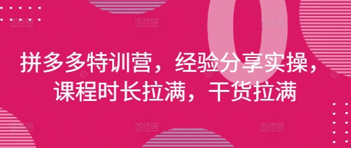拼多多特训营,经验分享实操,课程时长拉满,干货拉满(更新25年4月)-致富学堂