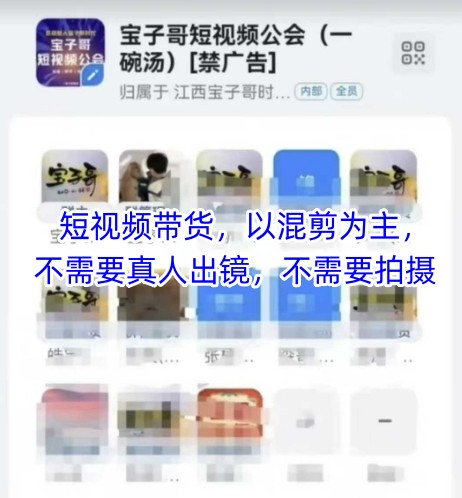 宝子哥头部团队短视频带货,以混剪为主,不需要真人出镜,不需要拍摄【更新】-致富学堂