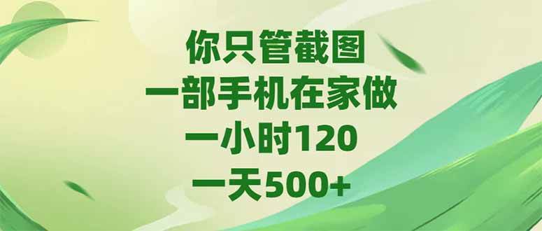 (15039期)你只管截图,一部手机在家做,一小时120,-天500+-致富学堂