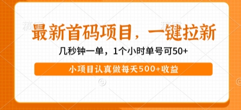 最新首码项目,操作最简单,收益高,一键拉新,1个小时单号可50+,小项目认真做每天5张+收益【揭秘】-致富学堂