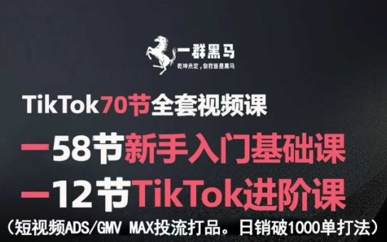TikTok全套视频课,新手入门+进阶课,短视频ADS-GMV MAX投流打品,日销破1000单打法-致富学堂