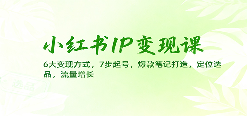小红书IP变现课:6大变现方式,7步起号,爆款笔记打造,定位选品,流量增长-致富学堂