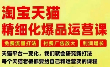淘宝天猫精细化爆品运营课,免费流量打法-付费广告放大-利润增长-三大核心痛点,一次全部解决-致富学堂