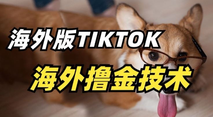 抖音海外版tiktok撸金技术，这个风口行业，赚钱真的不难【揭秘】-致富学堂