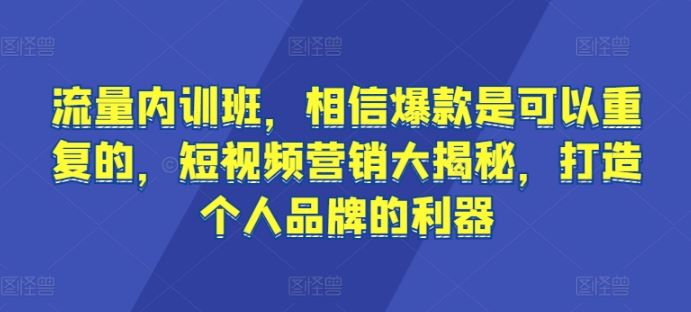 流量内训班，相信爆款是可以重复的，短视频营销大揭秘，打造个人品牌的利器-致富学堂