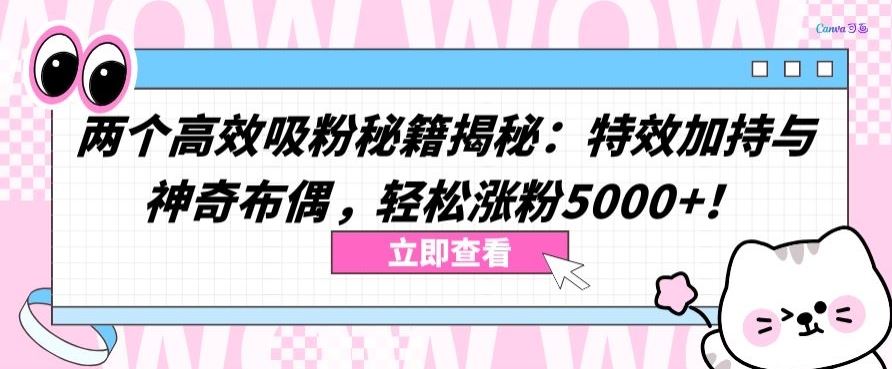 两个高效吸粉秘籍揭秘：特效加持与神奇布偶，轻松涨粉5000+【揭秘】-致富学堂