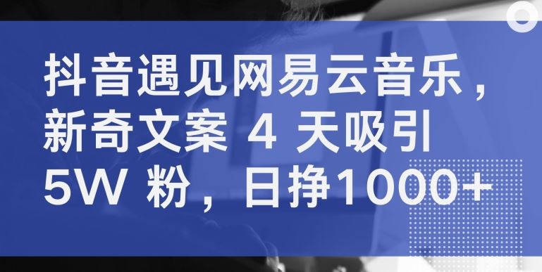 抖音遇见网易云音乐，新奇文案 4 天吸引 5W 粉，日挣1000+【揭秘】-致富学堂