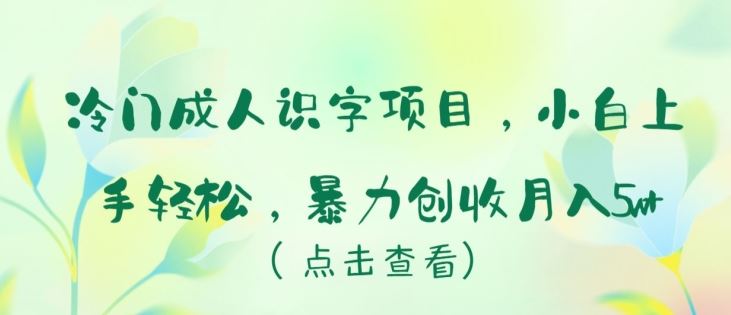 冷门成人识字项目，小白上手轻松，暴力创收月入5w+【揭秘】-致富学堂