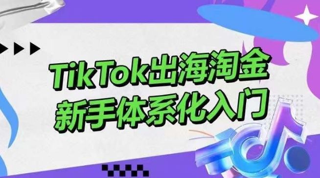 TikTok出海淘金，新手体系化入门，零基础快速入门，掌握短视频、直播带货等引流到变现的知识-致富学堂