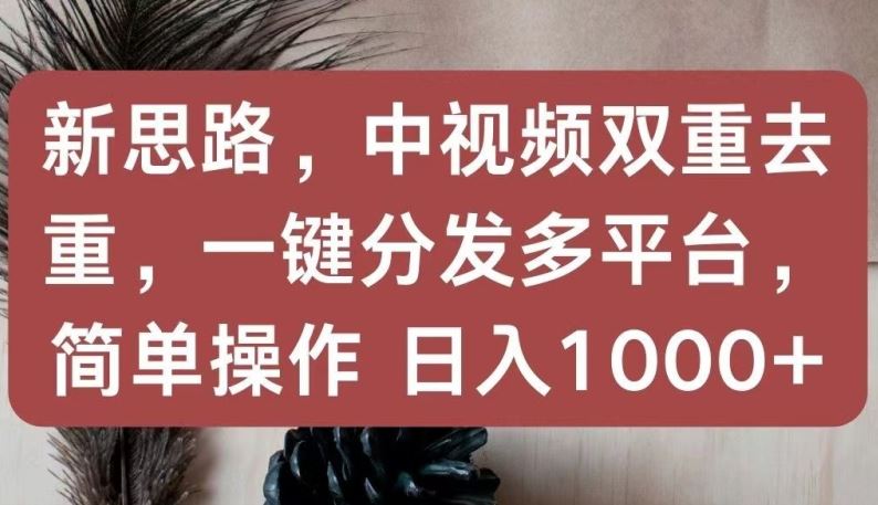 新思路，中视频双重去重，一键分发多平台，简单操作，日入1000+【揭秘】-致富学堂