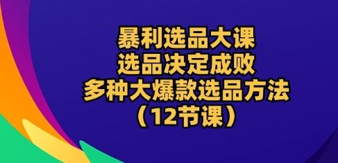 暴利选品大课：选品决定成败，教你多种大爆款选品方法(12节课)-致富学堂