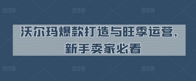 沃尔玛爆款打造与旺季运营，新手卖家必看-致富学堂