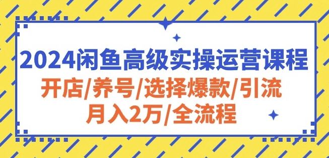 2024闲鱼高级实操运营课程：开店/养号/选择爆款/引流/月入2万/全流程-致富学堂