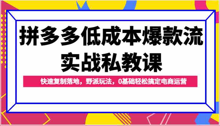 拼多多低成本爆款流实战私教课，快速复制落地，野派玩法，0基础轻松搞定电商运营-致富学堂