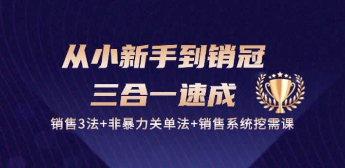 从小新手到销冠 三合一速成：销售3法+非暴力关单法+销售系统挖需课 (27节)-致富学堂