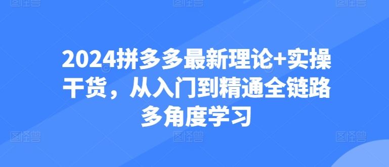 2024拼多多最新理论+实操干货，从入门到精通全链路多角度学习-致富学堂