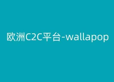 欧洲C2C平台-wallapop-kim跨境电商教程-致富学堂