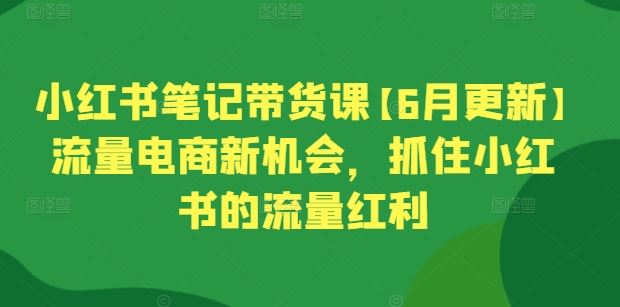 小红书笔记带货课【6月更新】流量电商新机会，抓住小红书的流量红利-致富学堂