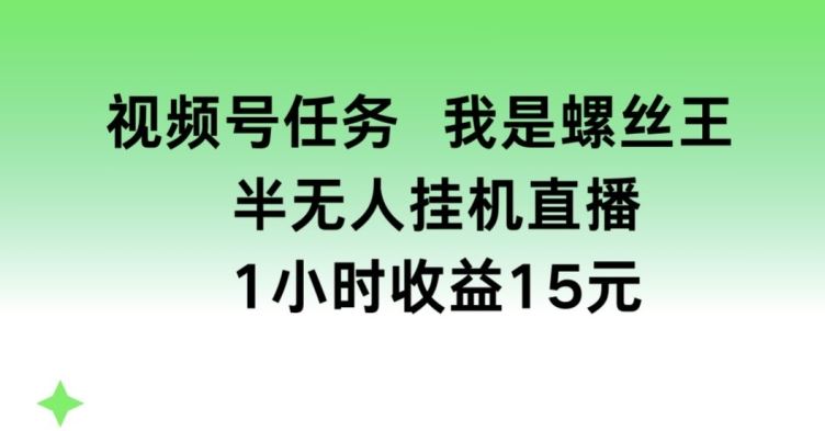 视频号任务，我是螺丝王， 半无人挂机1小时收益15元【揭秘】-致富学堂