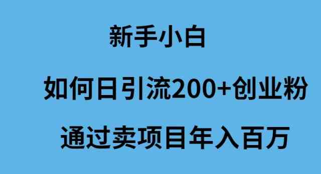 （9668期）新手小白如何日引流200+创业粉通过卖项目年入百万-致富学堂
