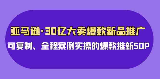 （9944期）亚马逊30亿·大卖爆款新品推广，可复制、全程案例实操的爆款推新SOP-致富学堂