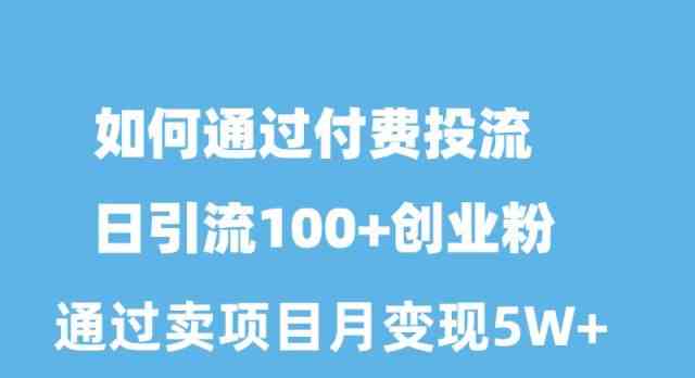 （10189期）如何通过付费投流日引流100+创业粉月变现5W+-致富学堂