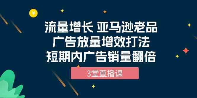（10112期）流量增长 亚马逊老品广告放量增效打法，短期内广告销量翻倍（3堂直播课）-致富学堂