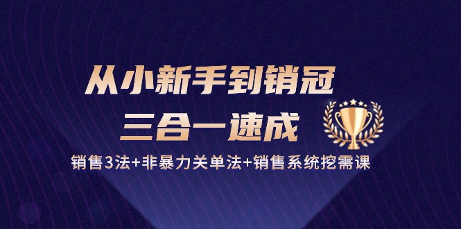 （10799期）从小新手到销冠 三合一速成：销售3法+非暴力关单法+销售系统挖需课 (27节)-致富学堂