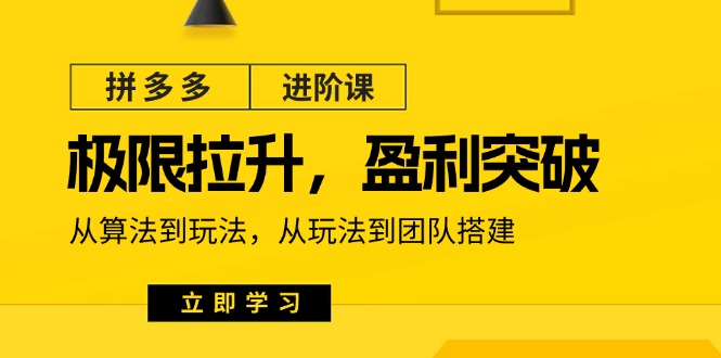 （11435期）拼多多·进阶课：极限拉升/盈利突破：从算法到玩法 从玩法到团队搭建-18节-致富学堂