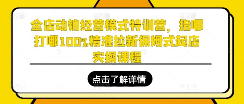 全店动销经营模式特训营，指哪打哪100%精准拉新保姆式起店实操课程-致富学堂