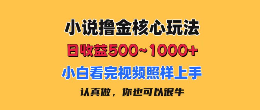 （11461期）小说撸金核心玩法，日收益500-1000+，小白看完照样上手，0成本有手就行-致富学堂