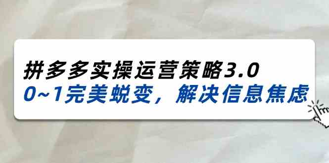 2024-2025拼多多实操运营策略3.0，0~1完美蜕变，解决信息焦虑（38节）-致富学堂