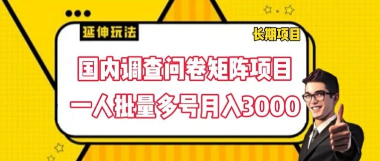 国内调查问卷矩阵项目，一人批量多号月入3000【揭秘】-致富学堂