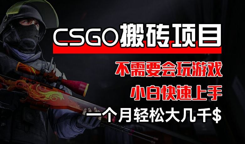 CSGO 装备搬砖项目，操作简单，不需要会玩游戏，小白也能快速上手，一个月轻松大几千【揭秘】-致富学堂