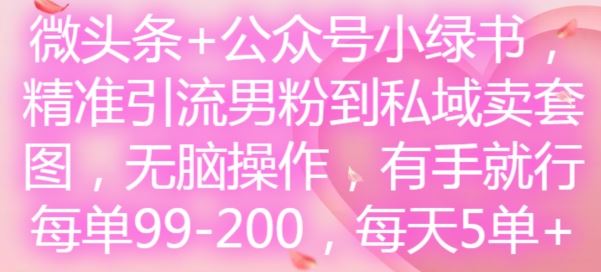 微头条+公众号小绿书，精准引流男粉到私域卖套图，无脑操作，有手就行，每单99-200，每天5单-致富学堂