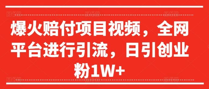 爆火赔付项目视频，全网平台进行引流，日引创业粉1W+【揭秘】-致富学堂