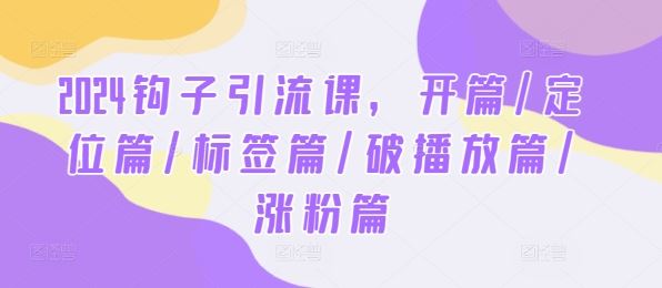 2024钩子引流课，开篇/定位篇/标签篇/破播放篇/涨粉篇-致富学堂