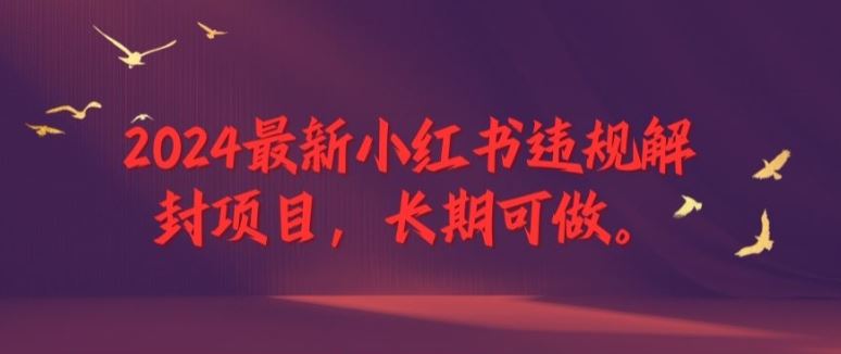 2024最新小红书违规解封项目，长期可做，一个可以做到退休的项目【揭秘】-致富学堂