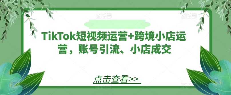 TikTok短视频运营+跨境小店运营，账号引流、小店成交-致富学堂