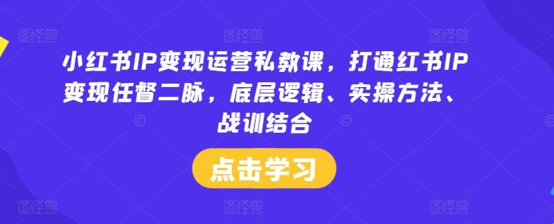 小红书IP变现运营私教课，打通红书IP变现任督二脉，底层逻辑、实操方法、战训结合-致富学堂