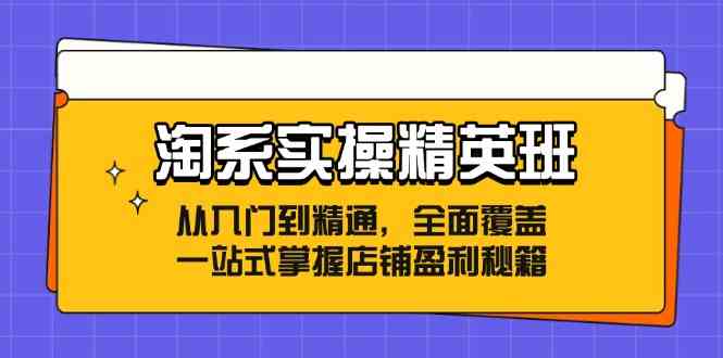 淘系实操精英班：从入门到精通，全面覆盖，一站式掌握店铺盈利秘籍-致富学堂