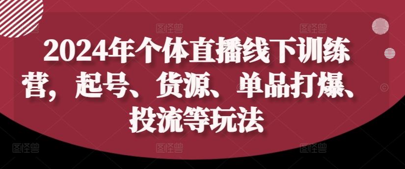 2024年个体直播训练营，起号、货源、单品打爆、投流等玩法-致富学堂