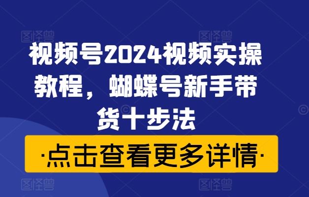 视频号2024视频实操教程，蝴蝶号新手带货十步法-致富学堂