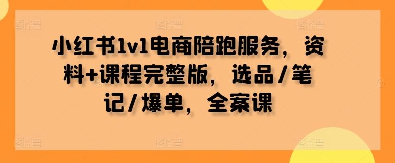 小红书1v1电商陪跑服务，资料+课程完整版，选品/笔记/爆单，全案课-致富学堂