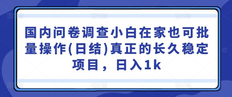 国内问卷调查小白在家也可批量操作(日结)真正的长久稳定项目，日入1k【揭秘】-致富学堂