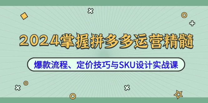 （12703期）2024掌握拼多多运营精髓：爆款流程、定价技巧与SKU设计实战课-致富学堂