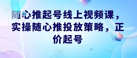 随心推起号线上视频课，实操随心推投放策略，正价起号-致富学堂